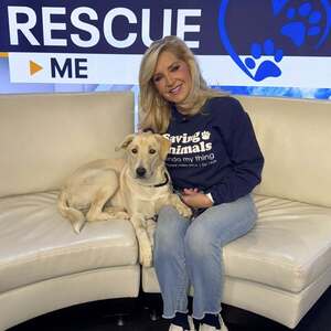 Team Page: Dawn Timmeney